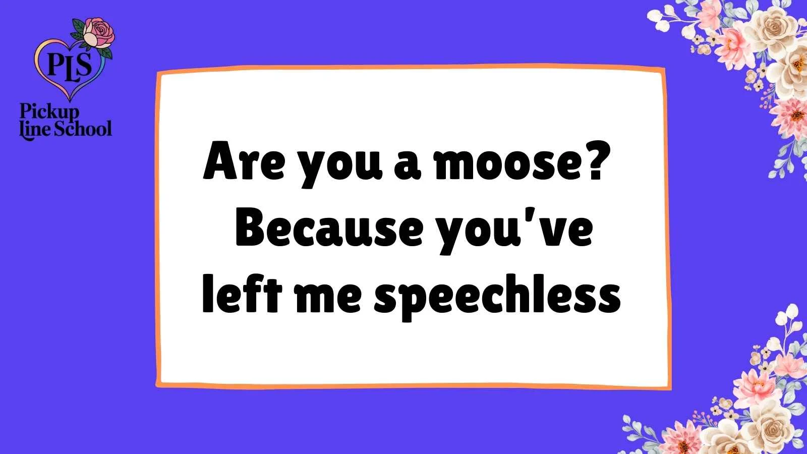 Alaska Pick Up Lines