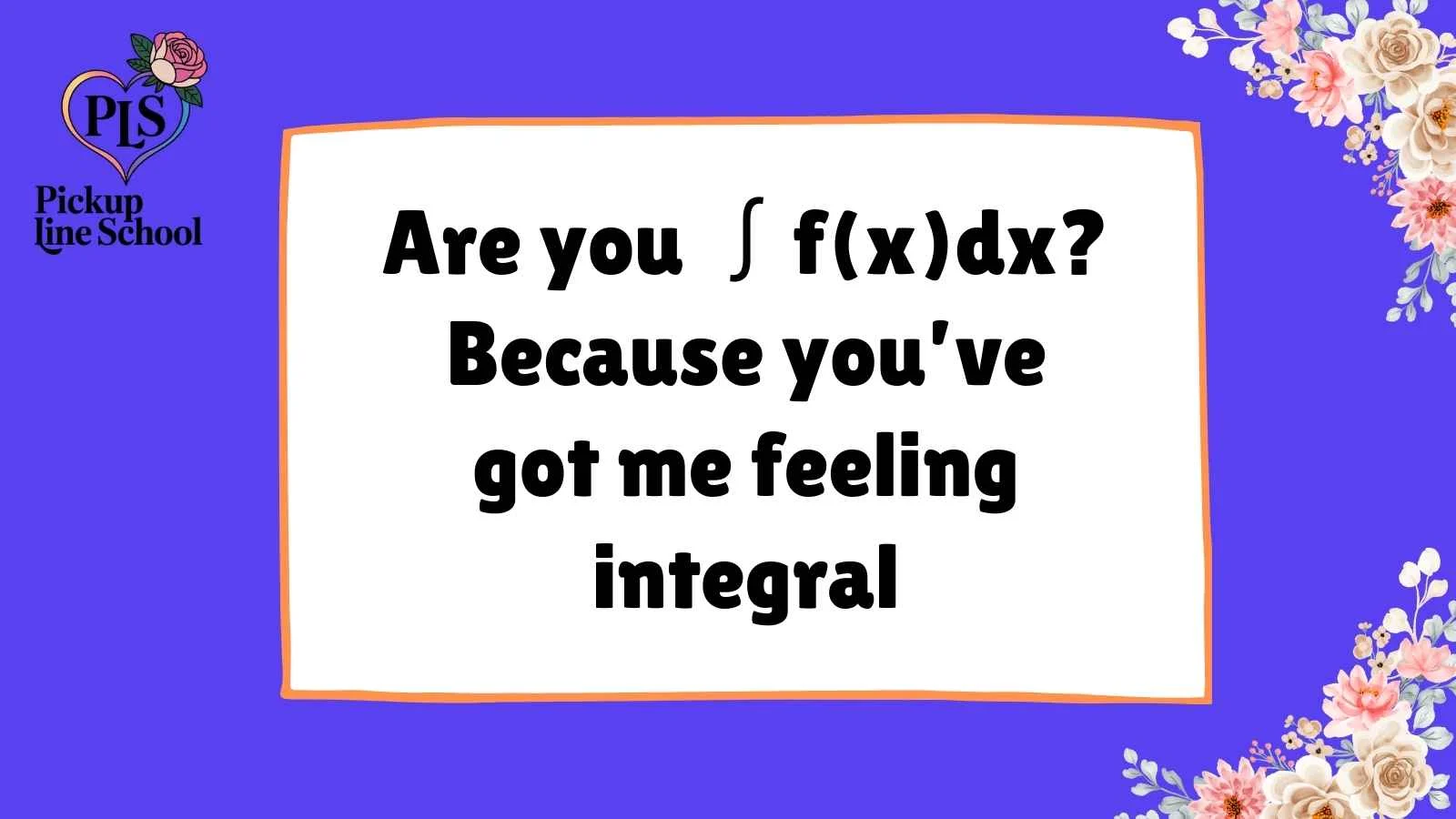 Calculus Pick Up Lines