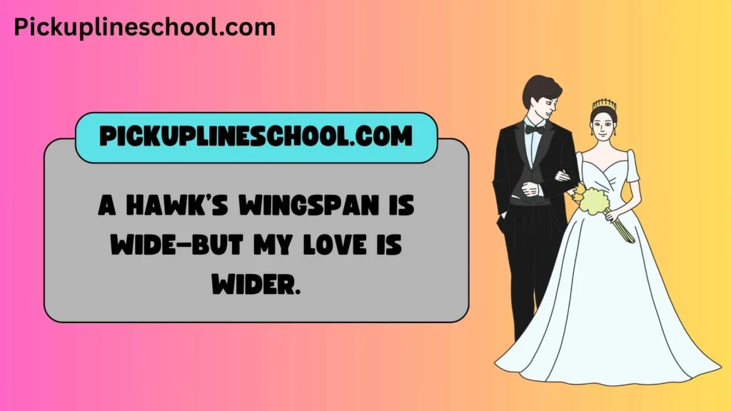 Clever Hawk Pick Up Lines