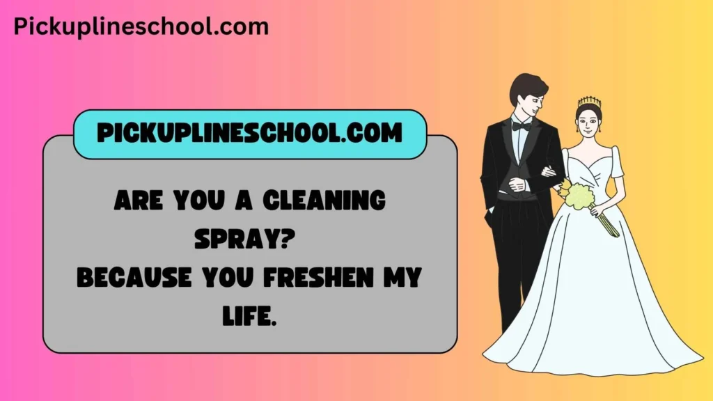 Cute Cleaning Pick Up Lines