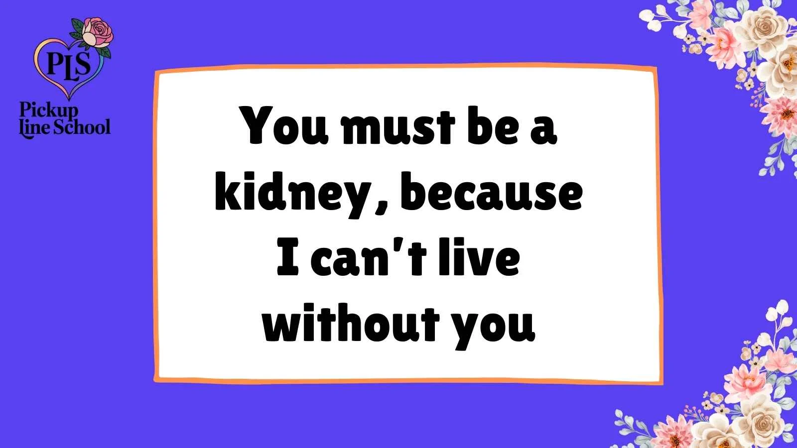 Kidney Pick Up Lines