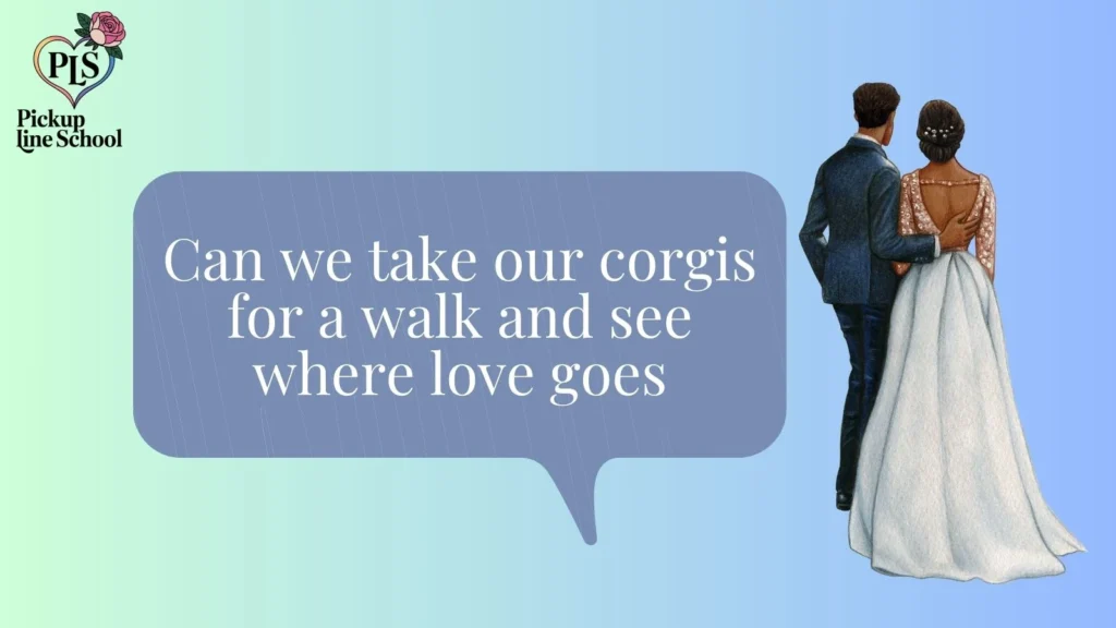 Pick Up Lines for Corgi Owners 