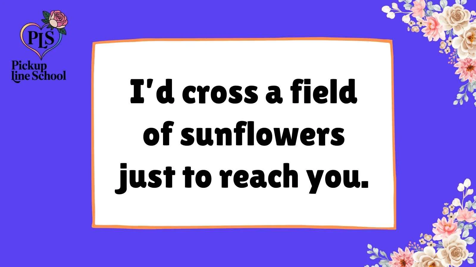 Sunflower Pick Up Lines