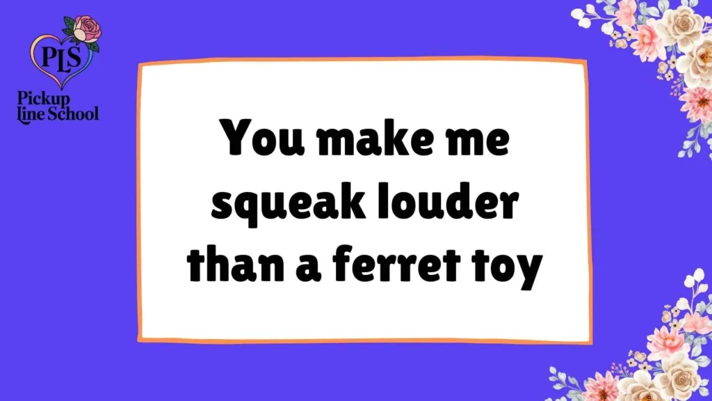 Cheesy Ferret Pick Up Lines