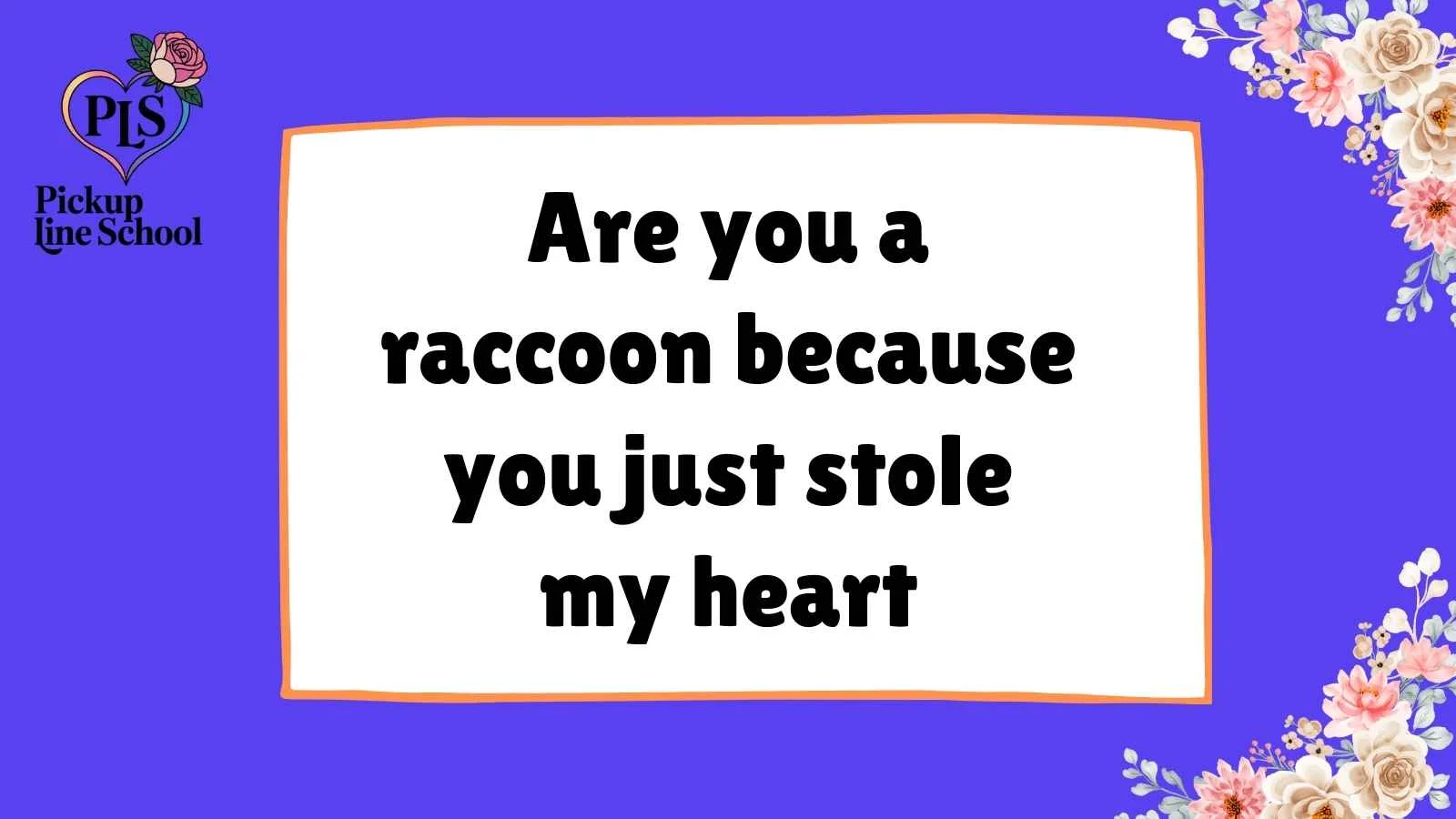 Raccoon Pick Up Lines