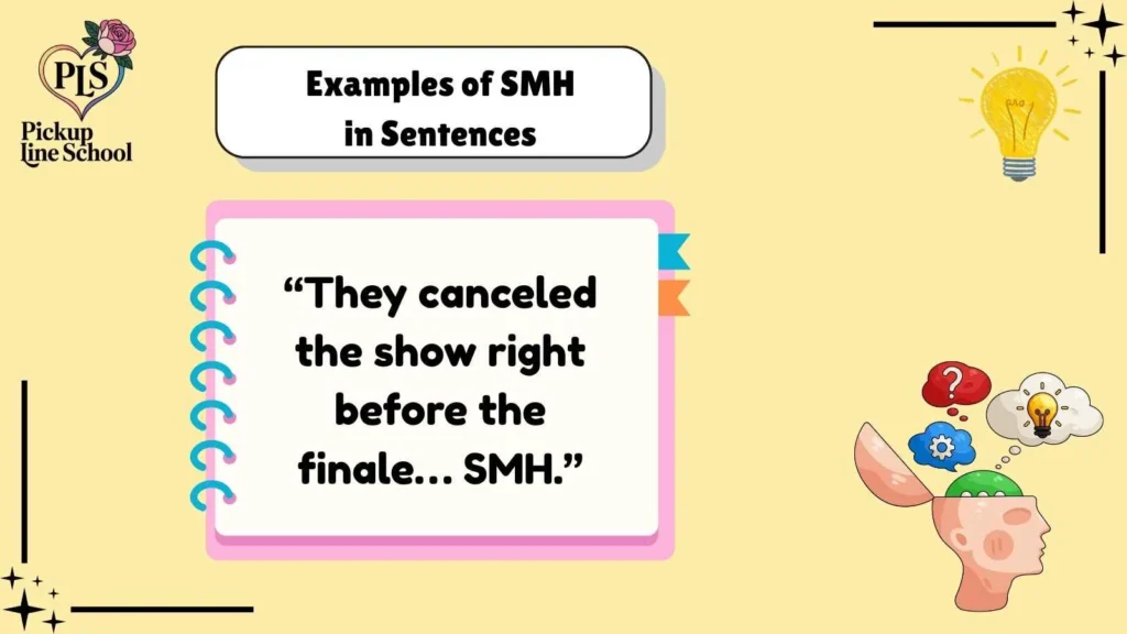 Examples of SMH in Sentences