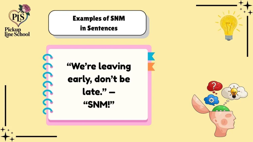 Examples of SNM in Sentences