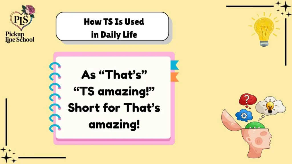 How TS Is Used in Daily Life