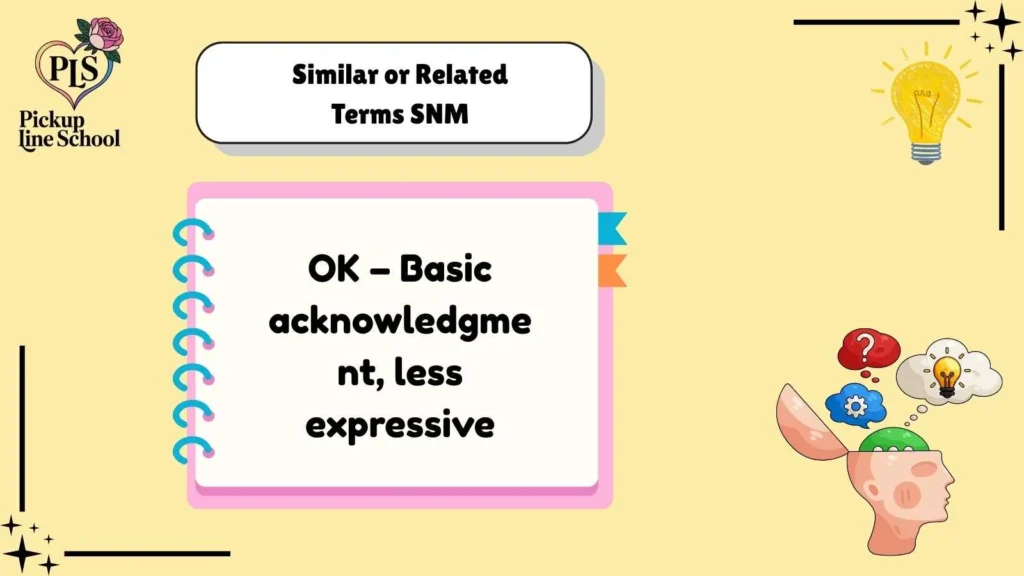 Similar or Related Terms SNM