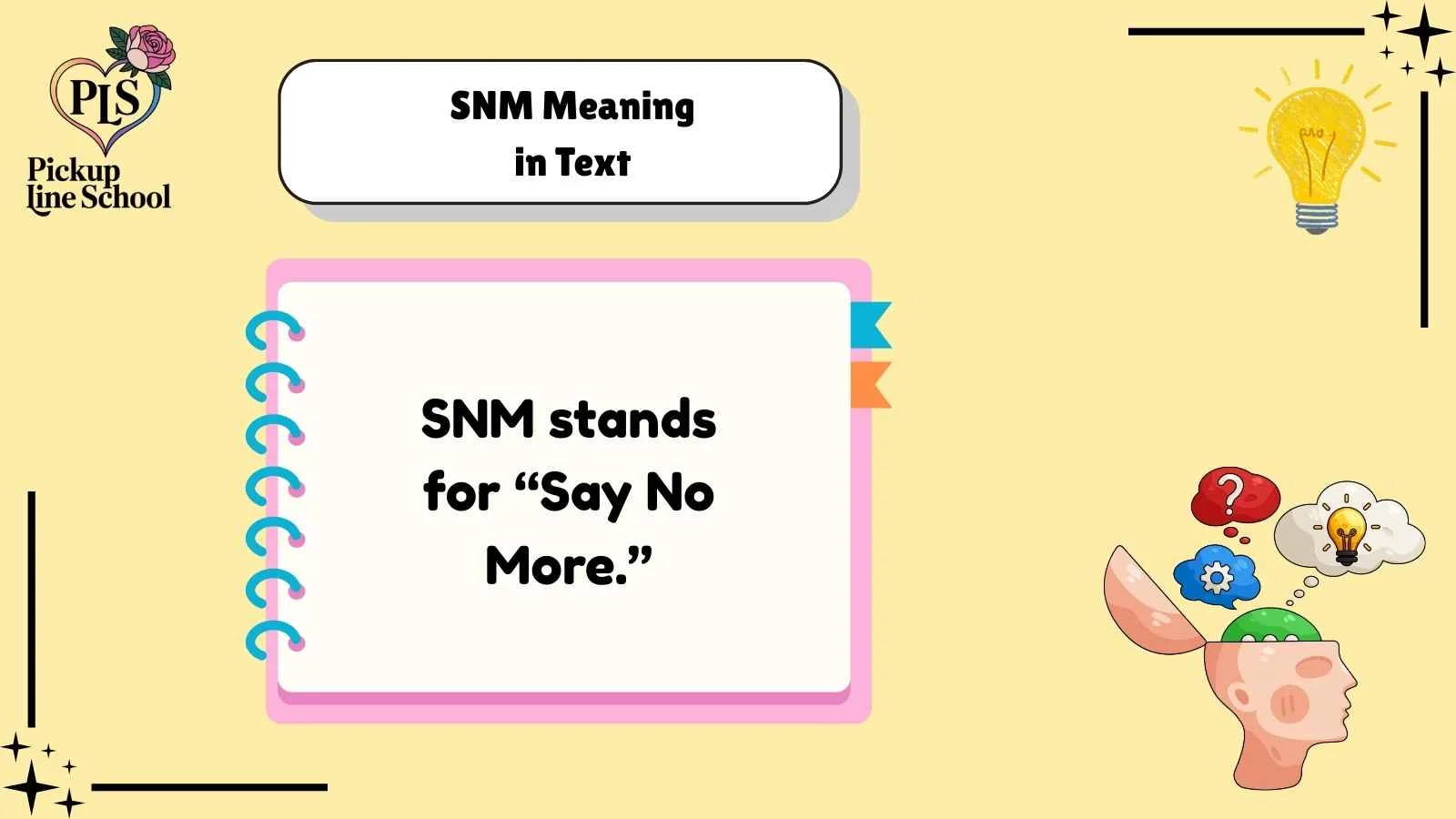 SNM Meaning in Text