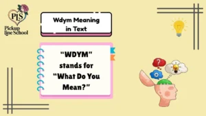 Wdym Meaning in Text