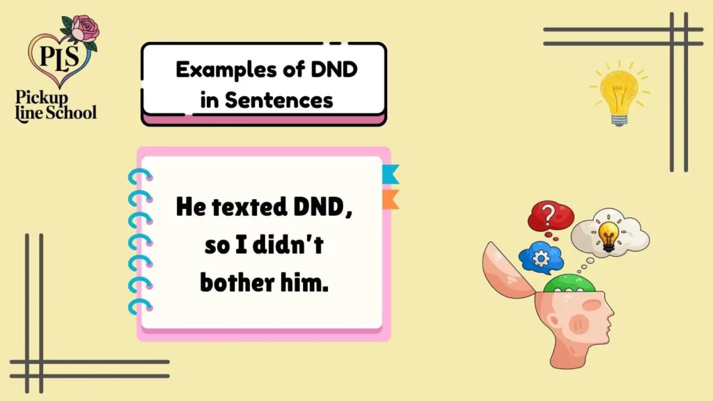 Examples of DND in Sentences