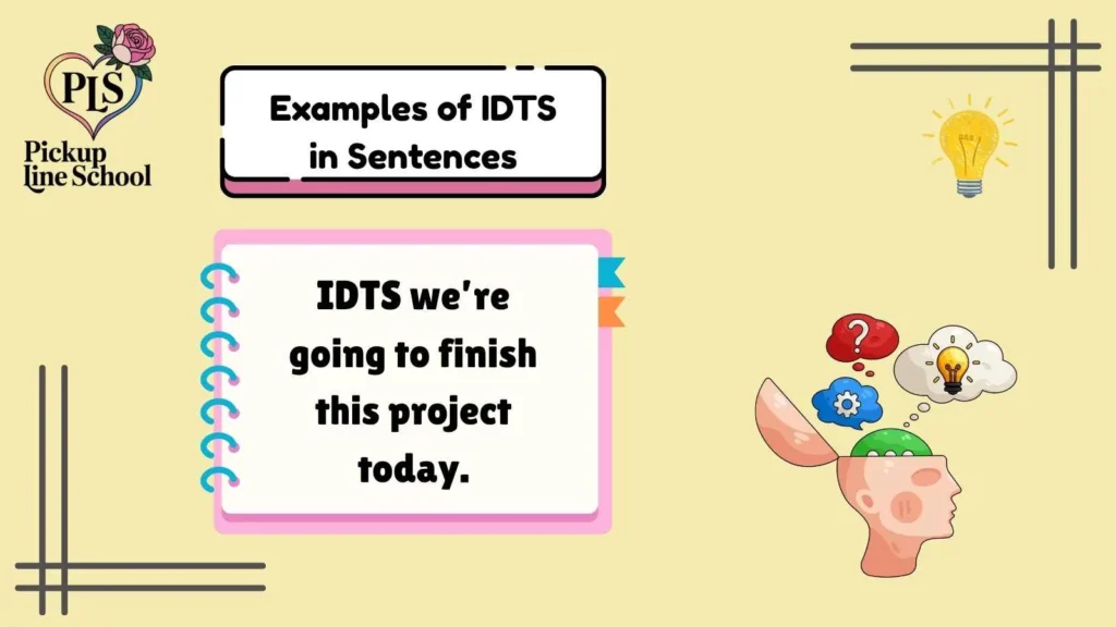 Examples of IDTS in Sentences