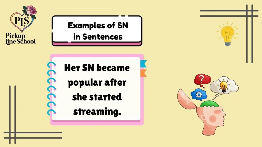 Examples of SN in Sentences