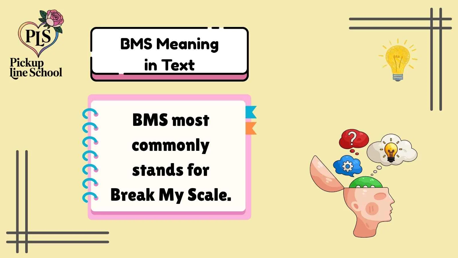 BMS Meaning in Text