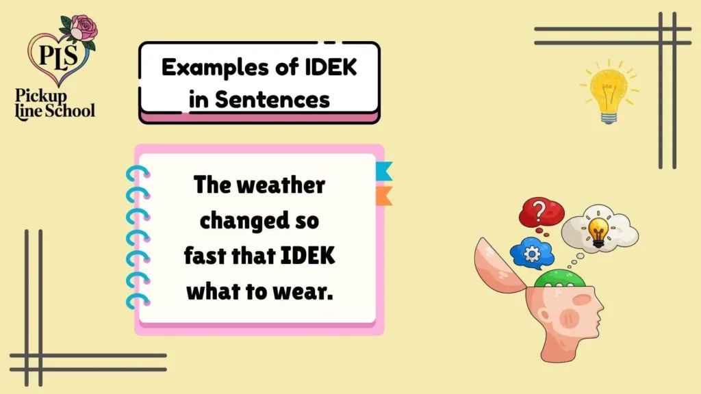 Examples of IDEK in Sentences