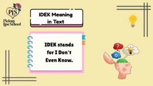 IDEK Meaning in Text